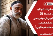 Mehmetcik Kutlu Zafer Episode 25 In Urdu Subtitle Free